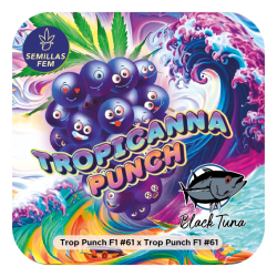 Tropicanna Punch 61