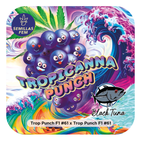 Tropicanna Punch 61