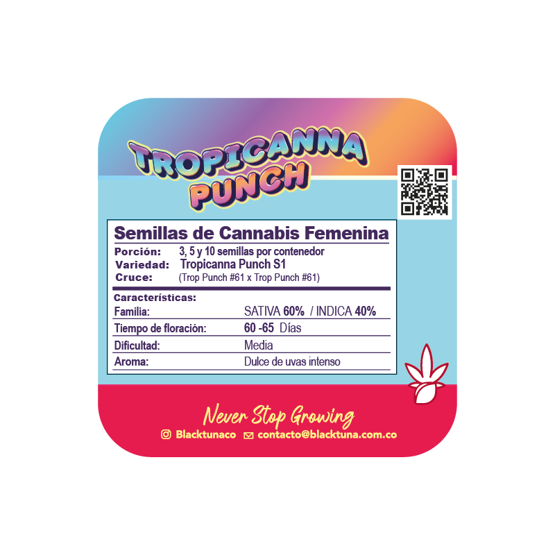 Tropicanna Punch 61