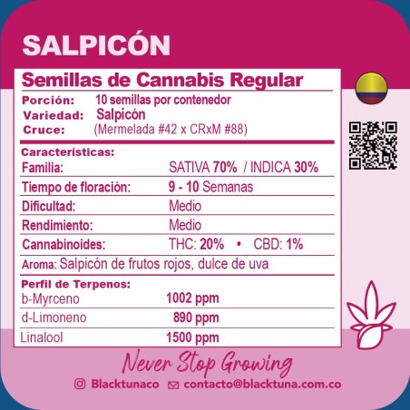 Salpicon (frullato)