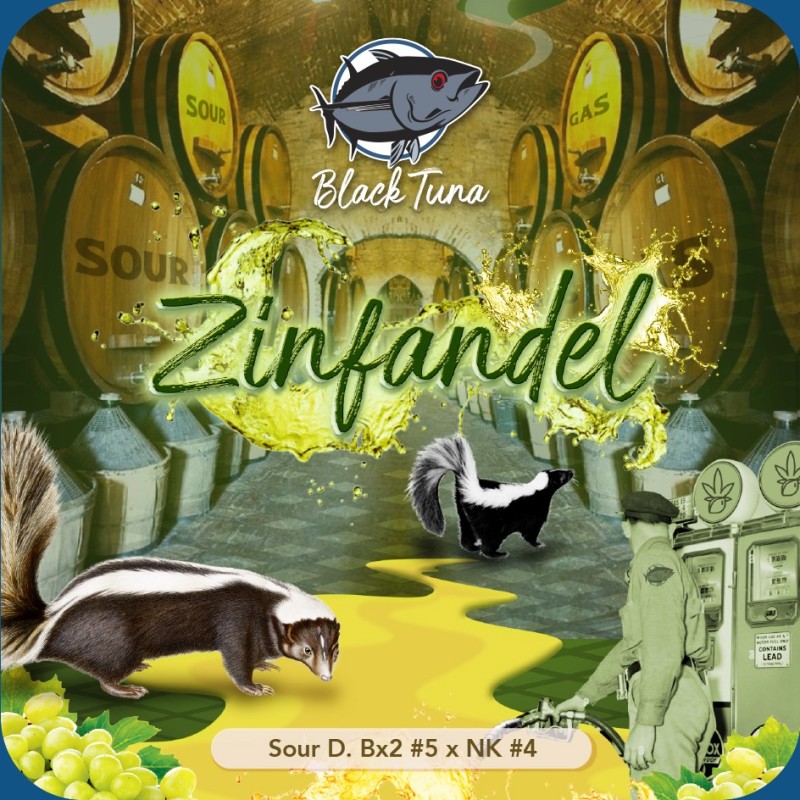 Zinfandel