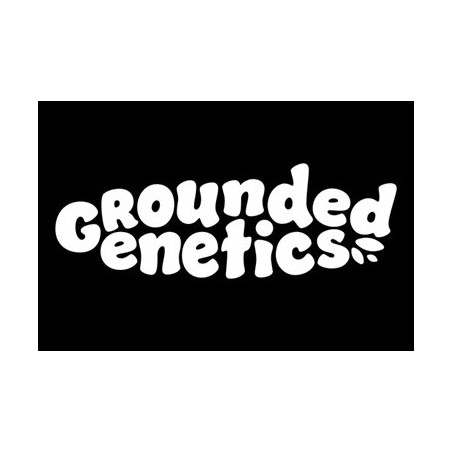 ZKUNK Grounded Genetics - 7 semi