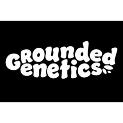 Zilk Road Grounded Genetics - 7 semi