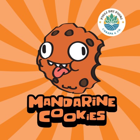 MANDARINE COOKIES - INFIORESCENZA