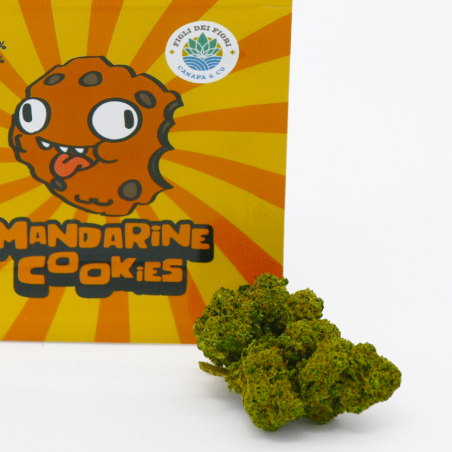 MANDARINE COOKIES - INFIORESCENZA