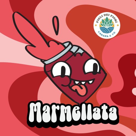 LA MARMELLATA - RESINA