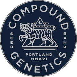 JET PUFT - COMPOUND GENETICS 5 SEMI