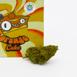 ORANGE CAKE - INFIORESCENZA