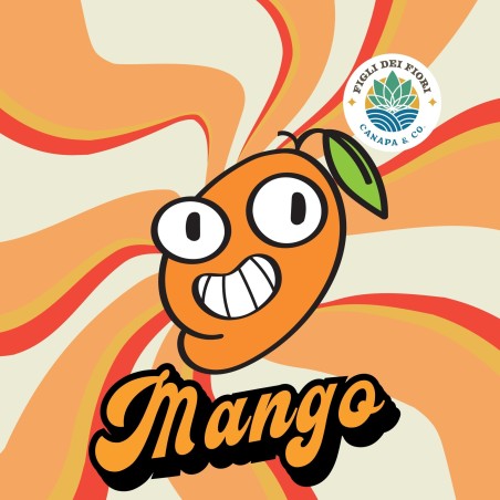 MANGO - INFIORESCENZA