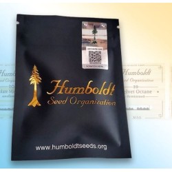 CINNAMON BUDDHA OG HUMBOLDT SEED ORGANIZATION