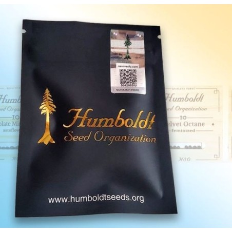 FLORIDA GASPACK HUMBOLDT SEED ORGANIZATION