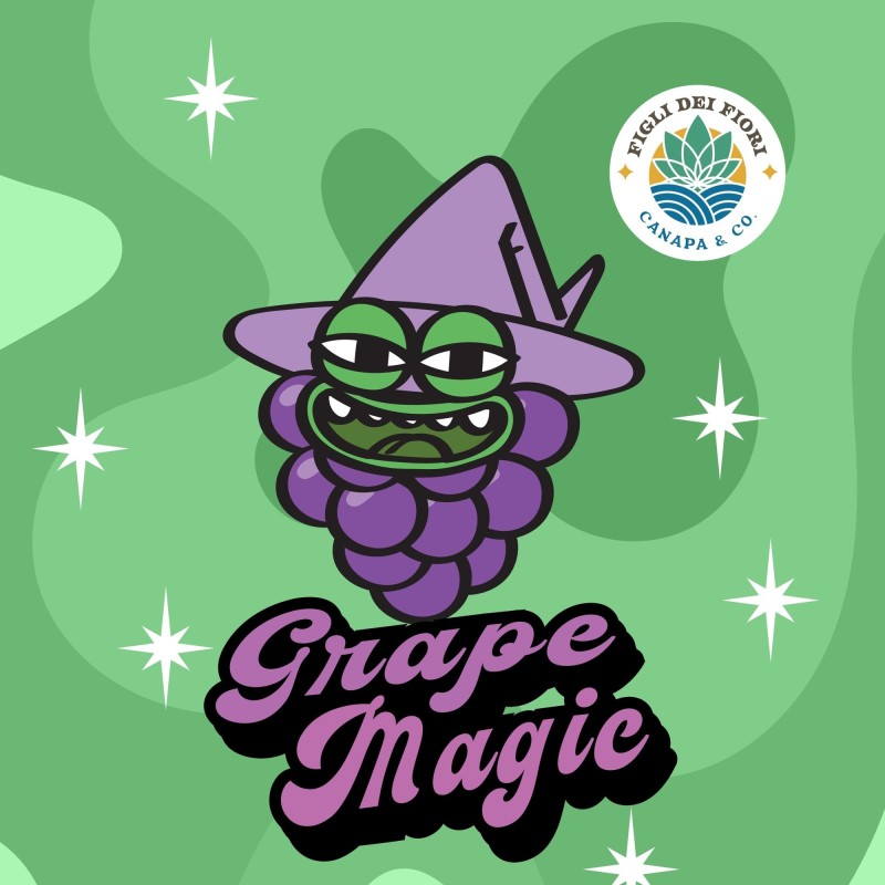 GRAPE MAGIC - INFIORESCENZA INDOOR